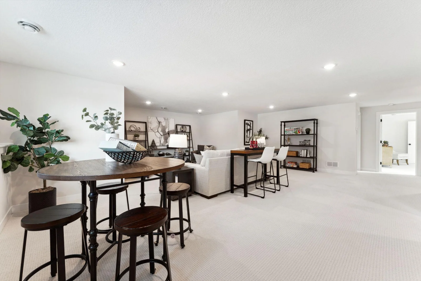 Large Lower Level