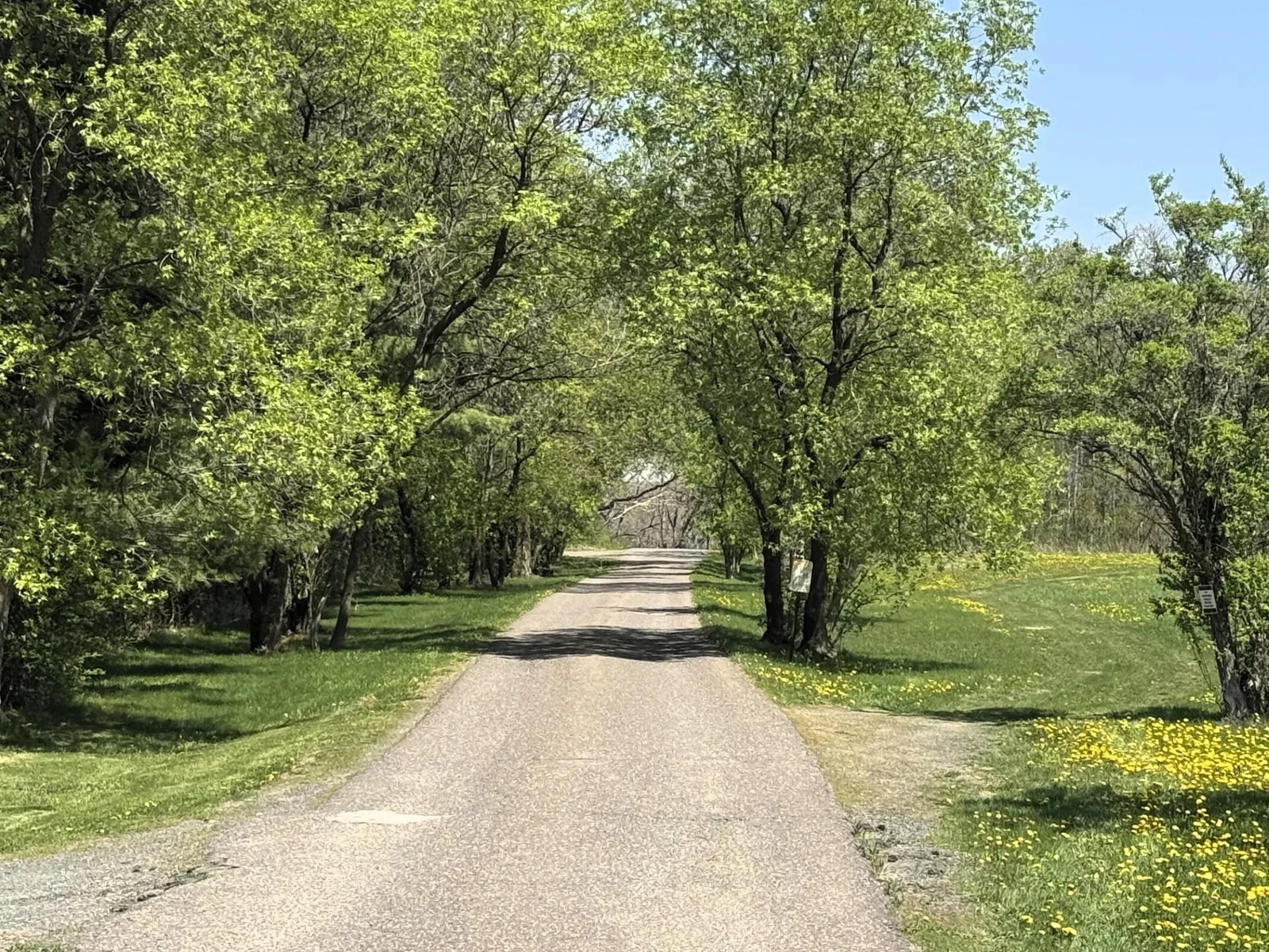 Road to the lake
