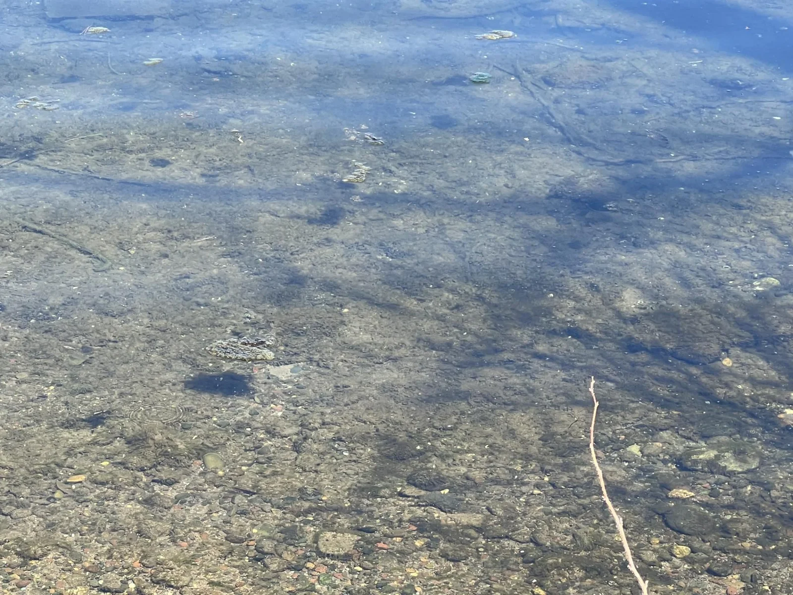 Crystal Clear Water