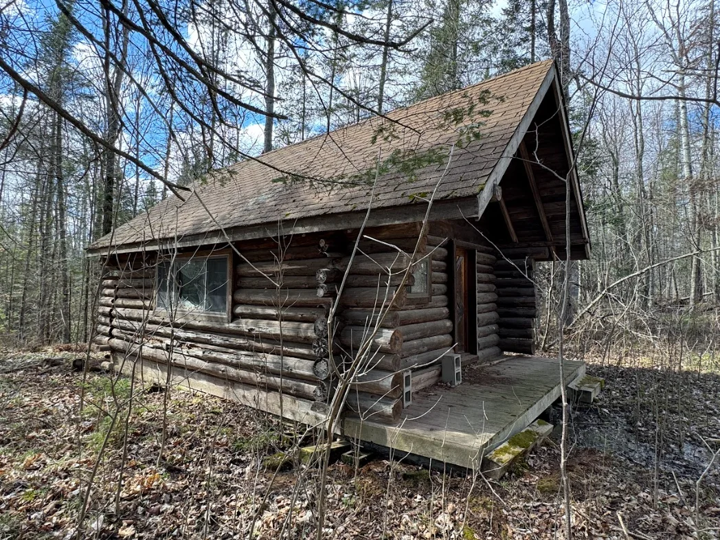 Log Cabin in the woods