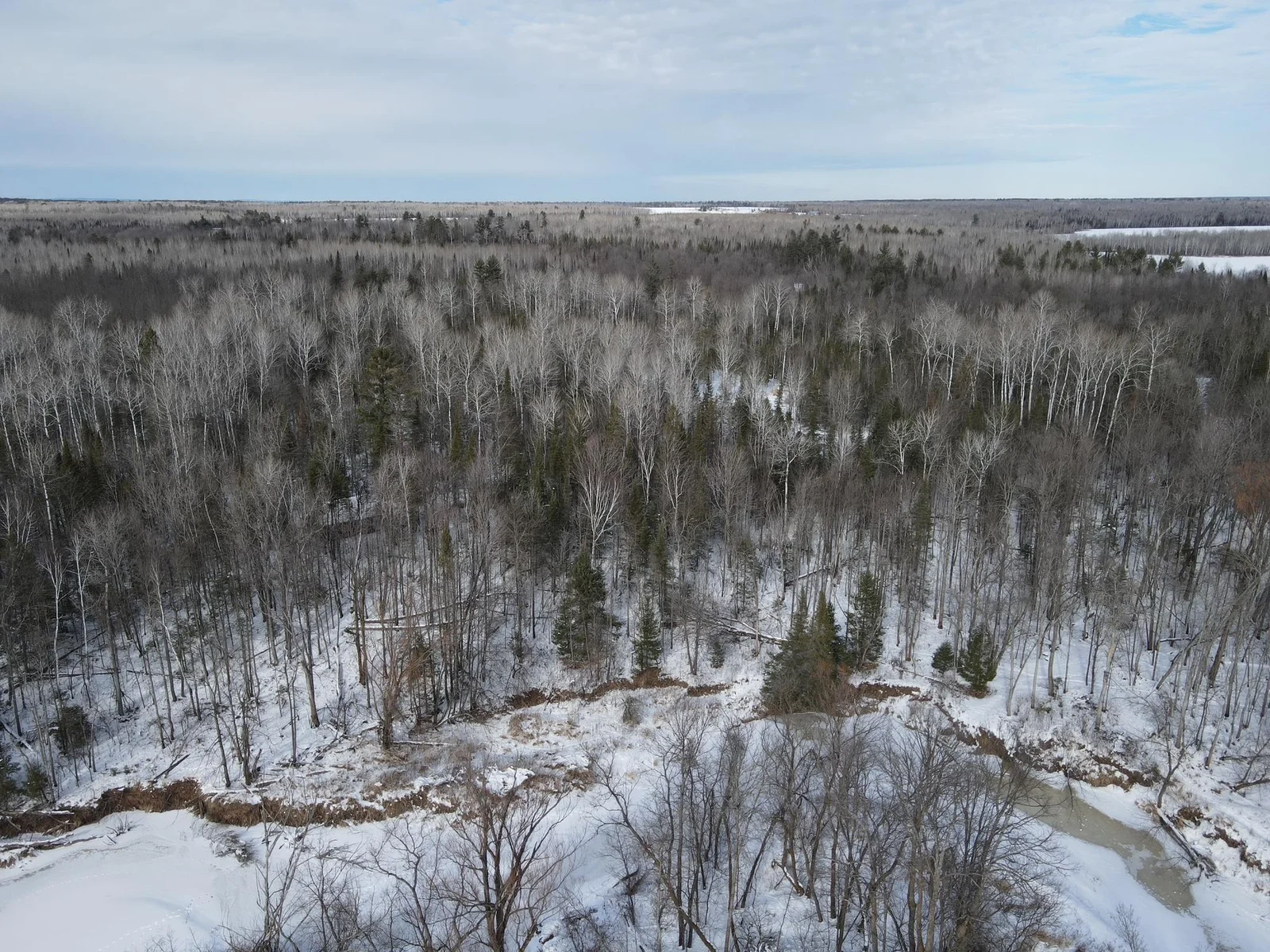 Log cabin overlooking the Brunsweller River