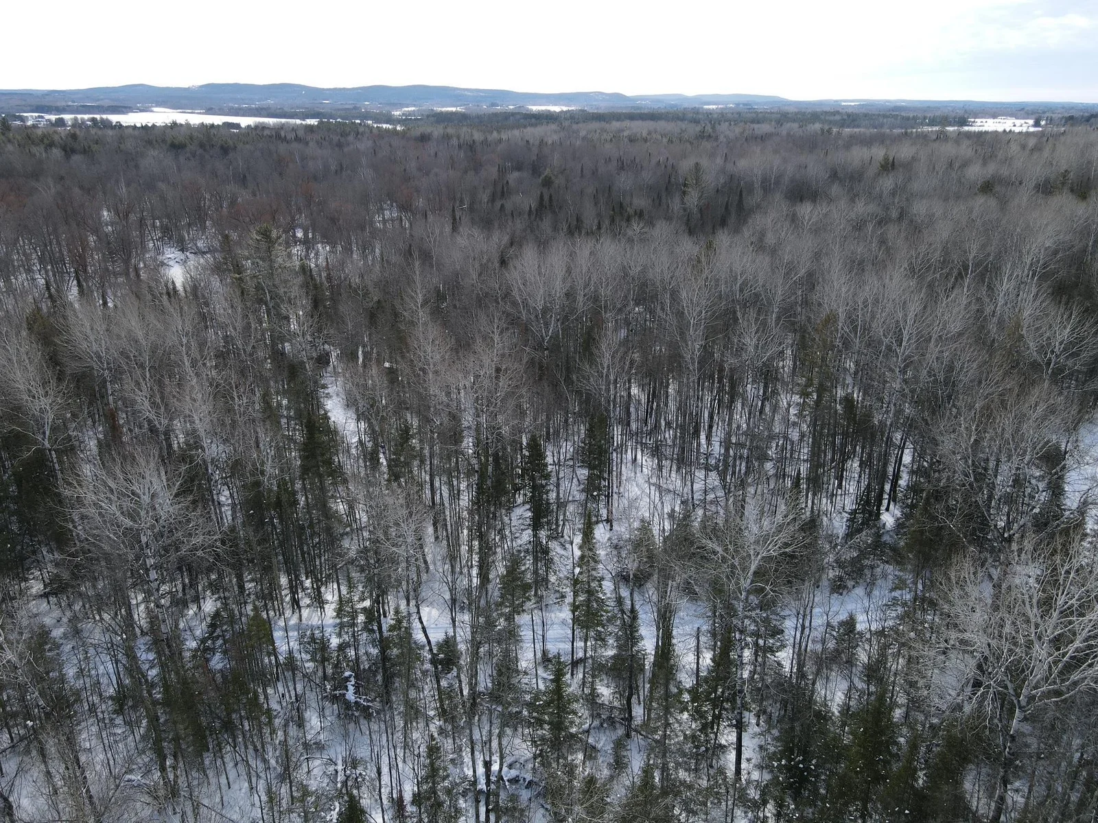 Property facing South