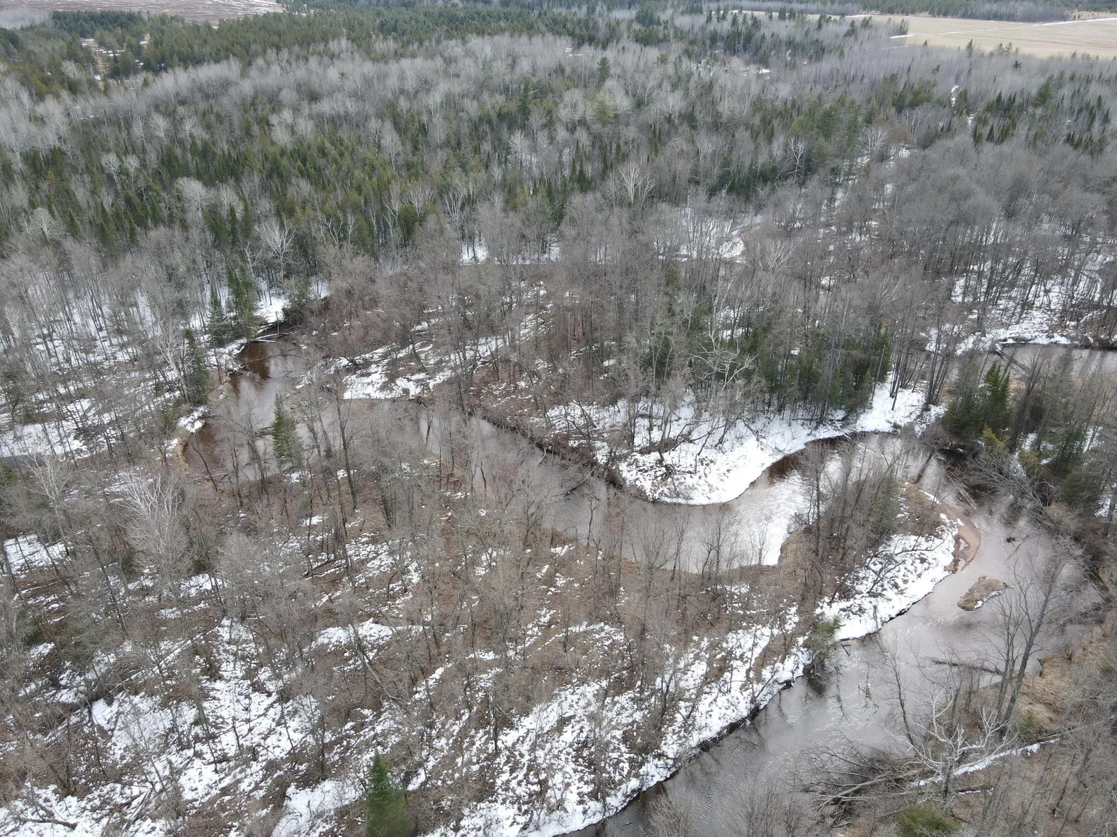 Excellent stretch of river for swimming, fishing or kayaking!