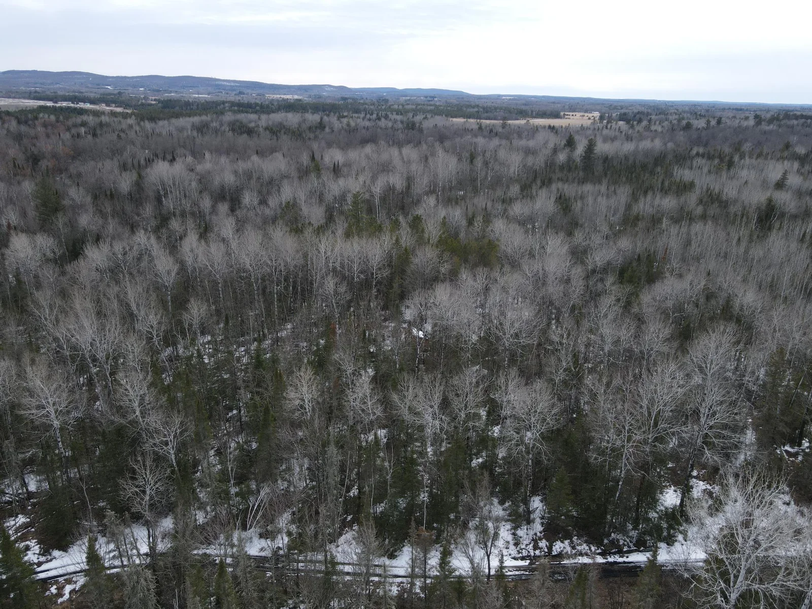 20 acres with mature timber