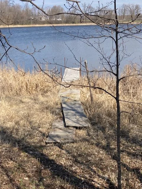 Lake view