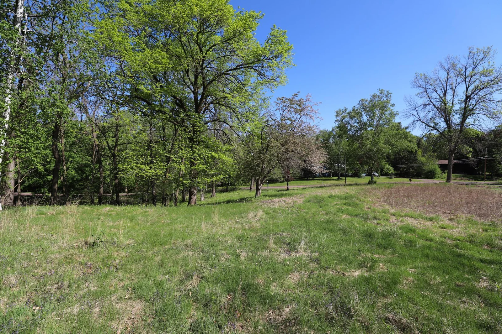 Photo 1 of 150 Cedar