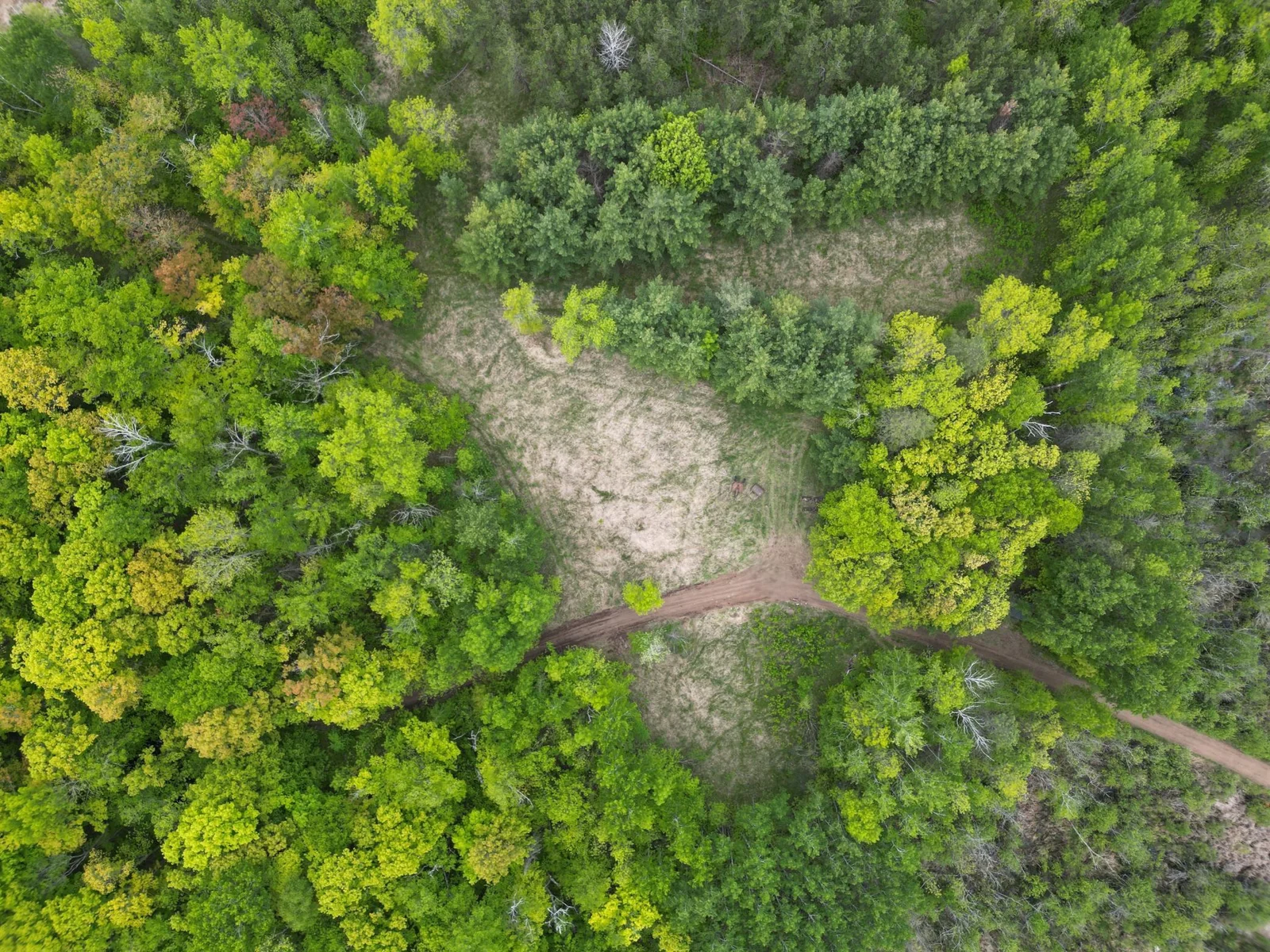 Aerial view of one of the clearings.