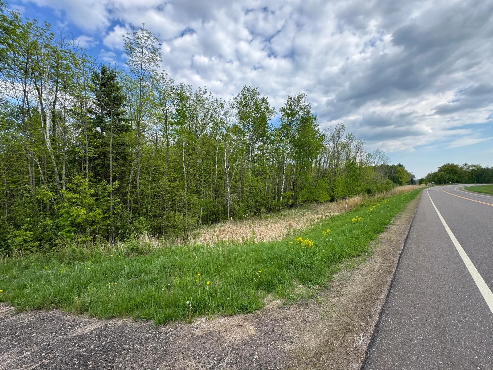 Road view looking south.