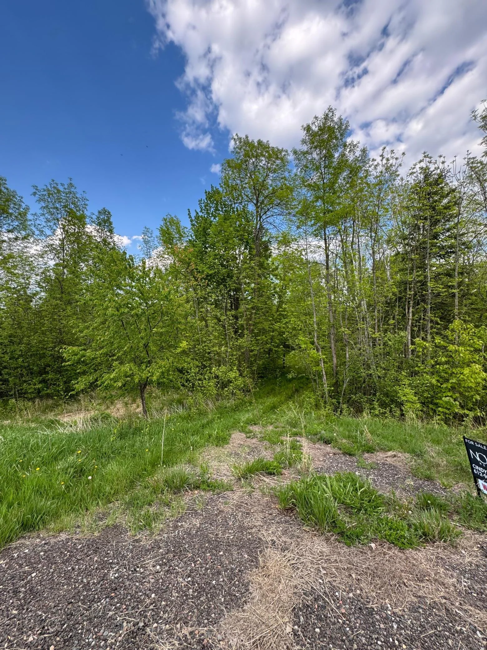 This trail leads to another open area that is right off County Rd 53 on the very north edge of the property.