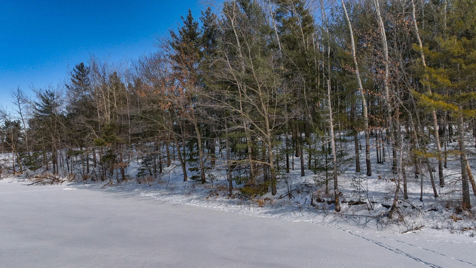 009_dji_0211_877.jpg