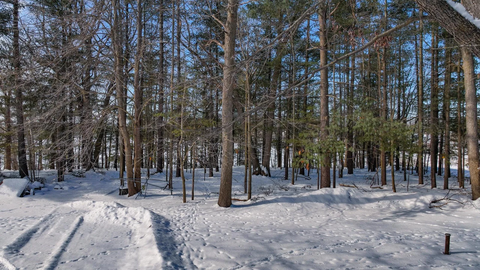 011_dji_0216_50.jpg
