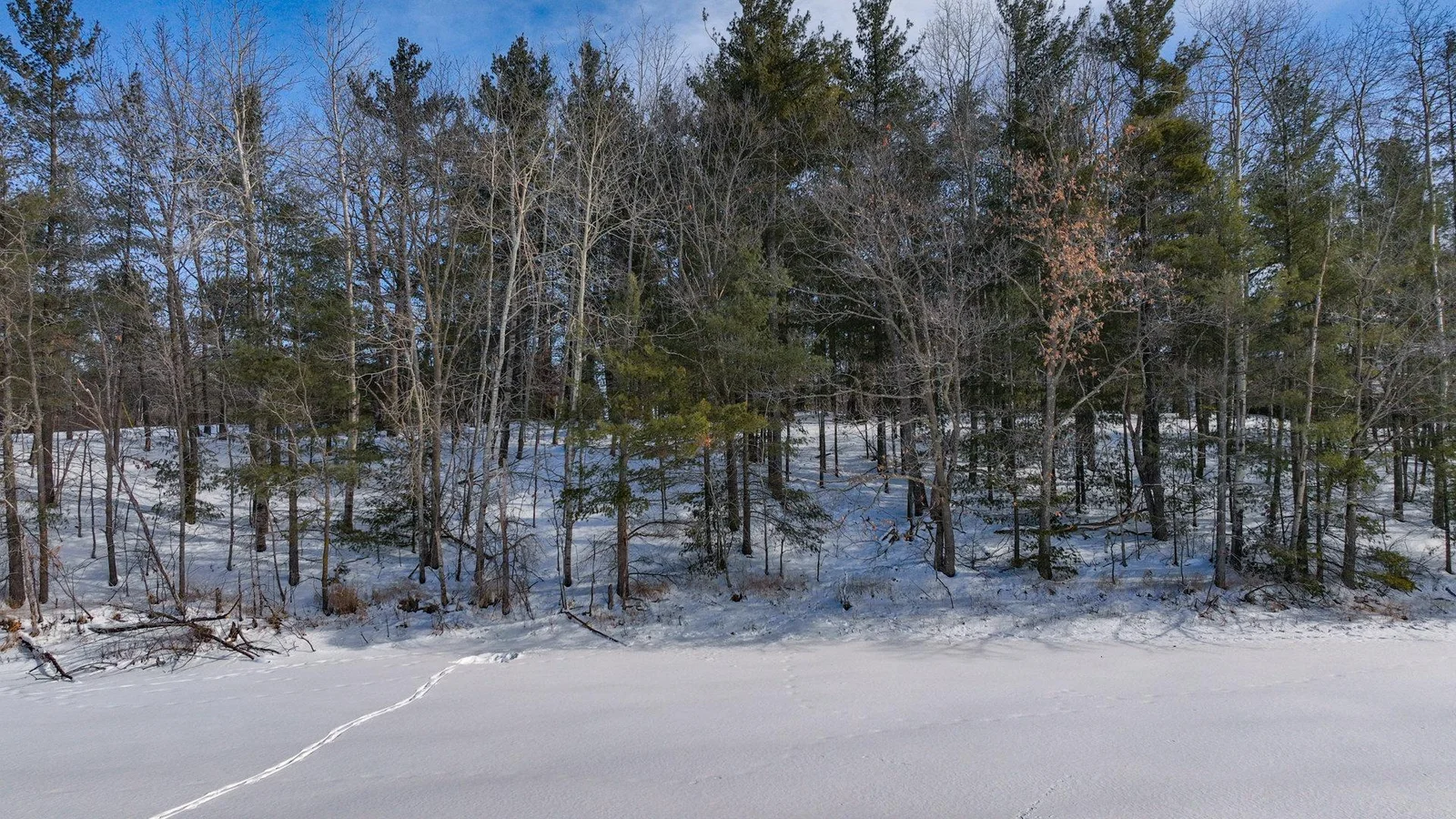008_dji_0206_435.jpg