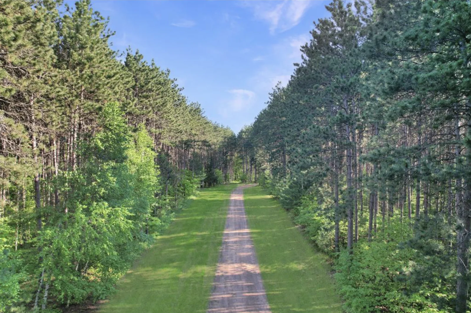 Gorgeous wooded lots