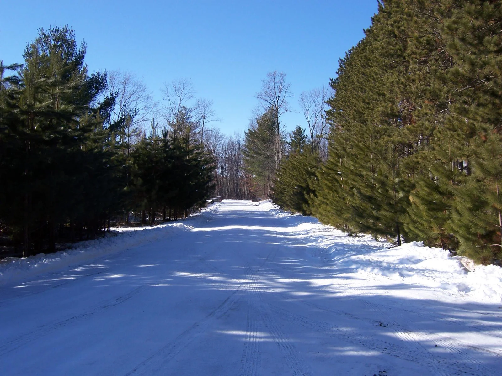 Delight in the gorgeous winters