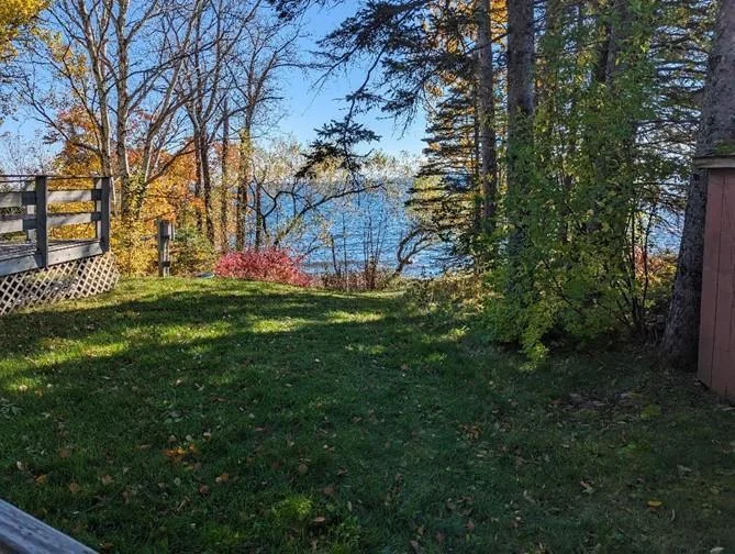 Fall colors.jpg
