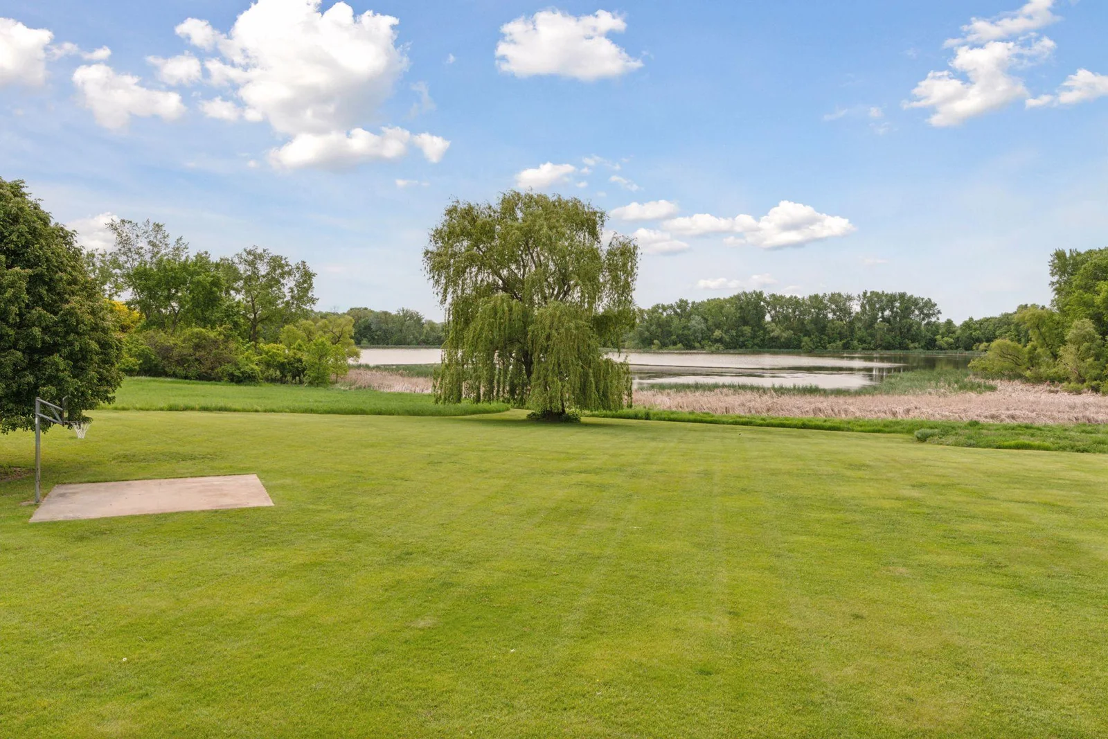 Backyard views of the Lake
