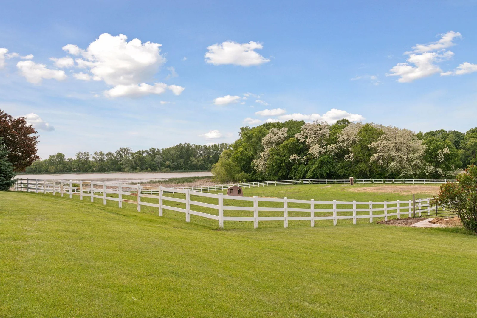 Fenced in Pasture
