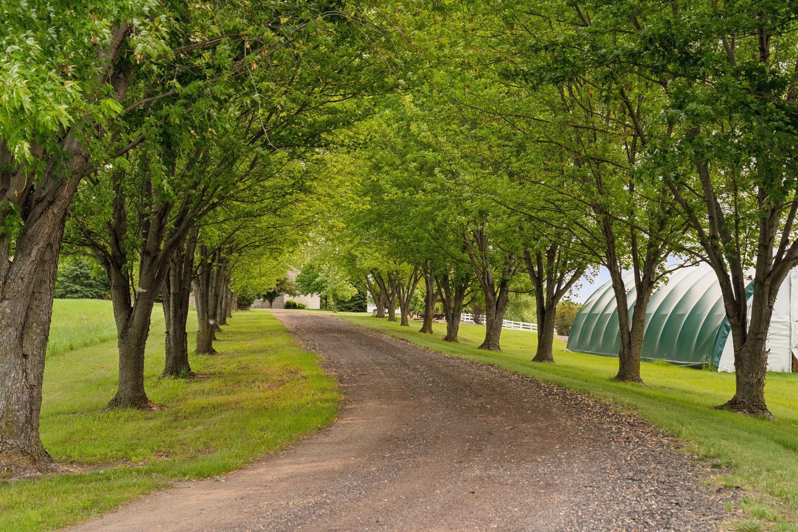 Long Tree-Lined Driveway