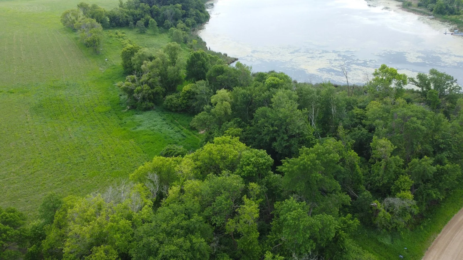DJI_0484.JPG