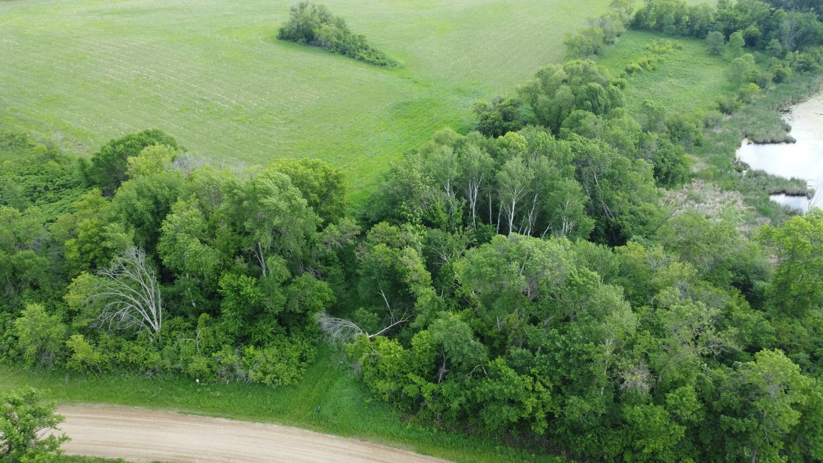 DJI_0483.JPG