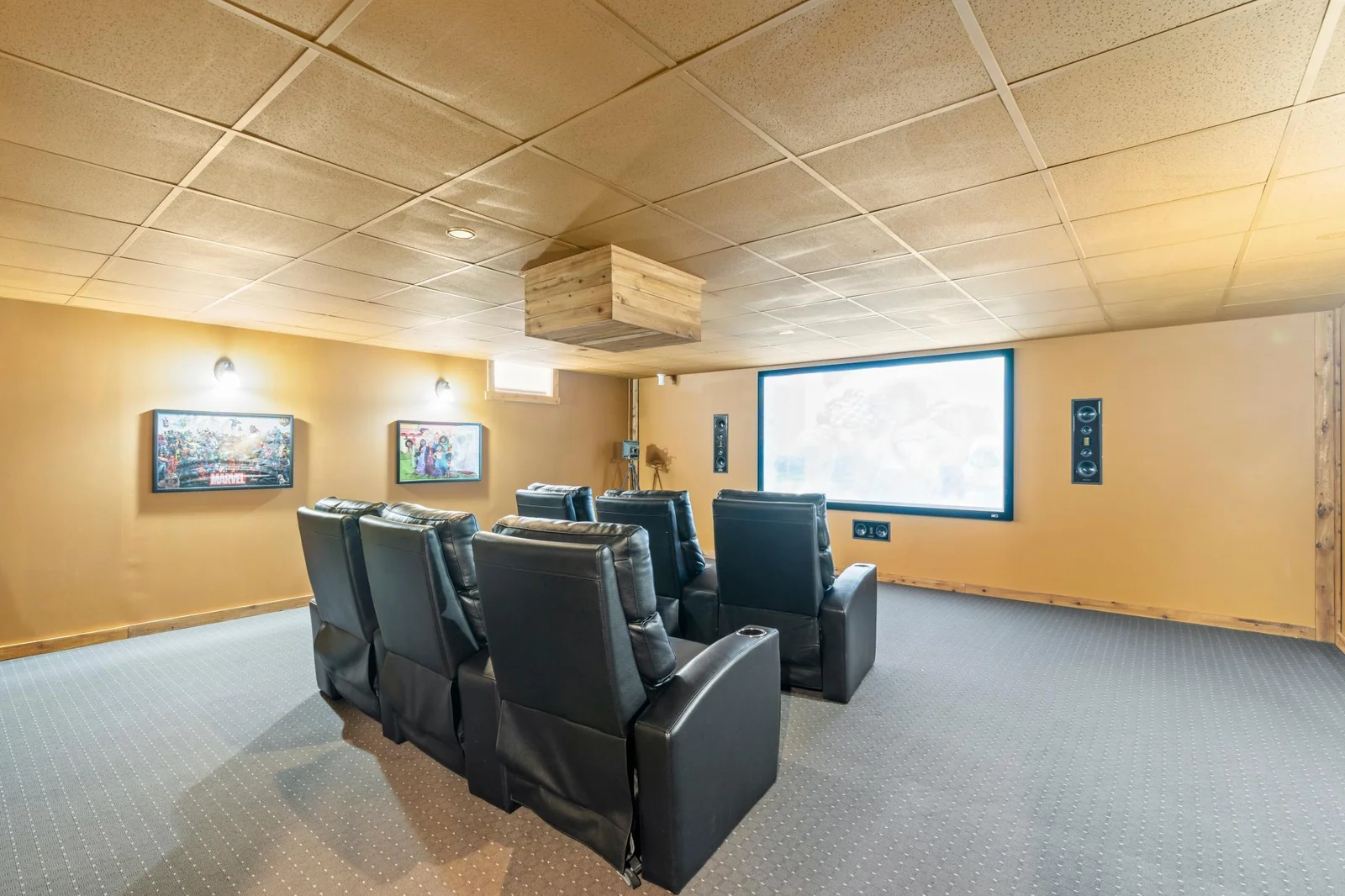 theatre room