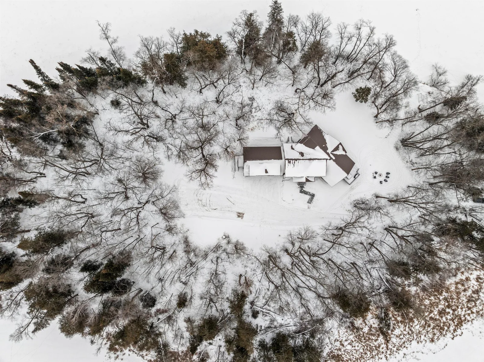 winter wonderland