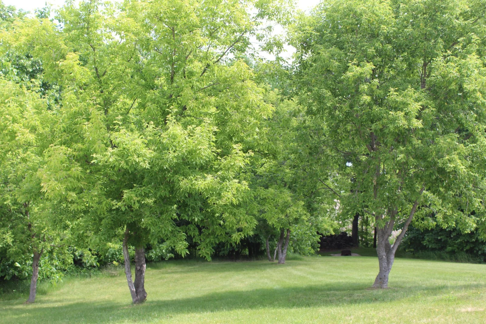Thumbnail photo 35