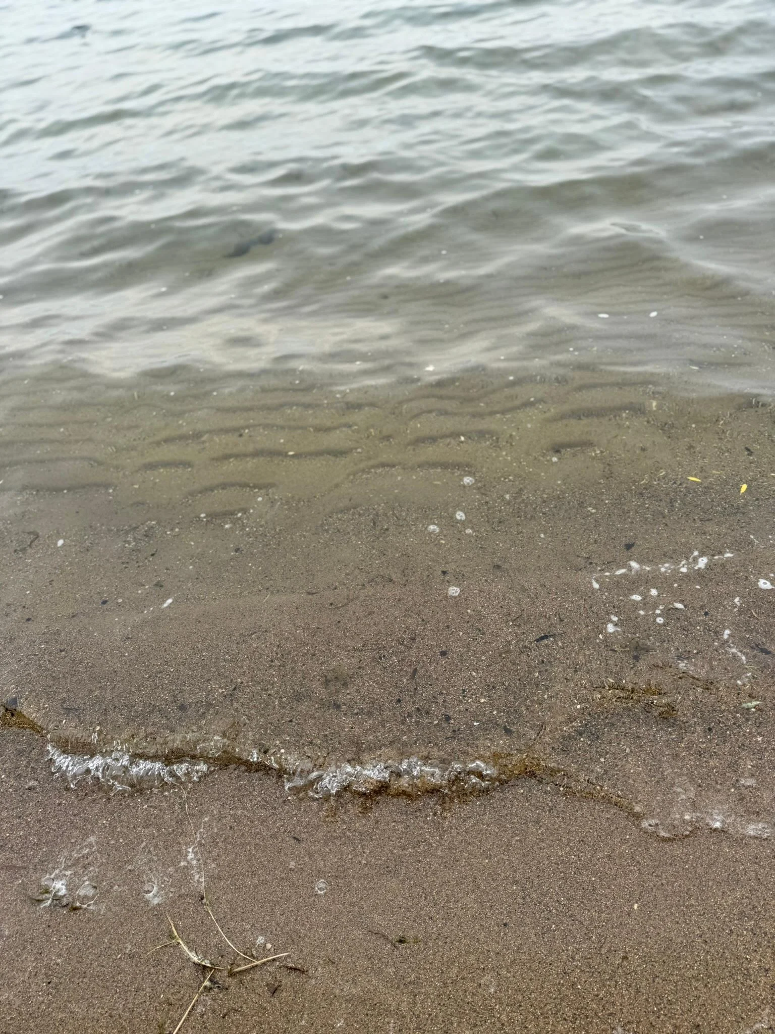 Swimming Beach