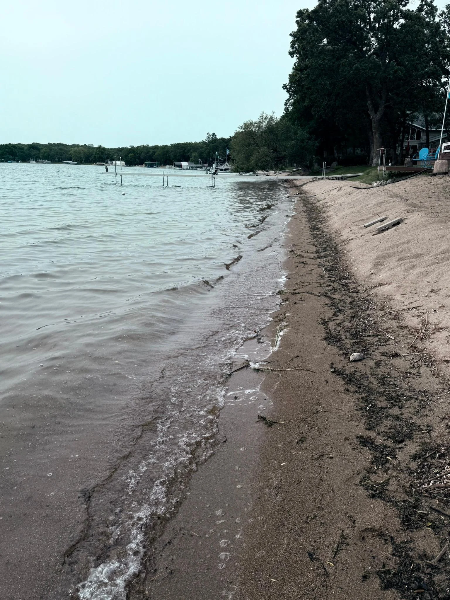 Shore