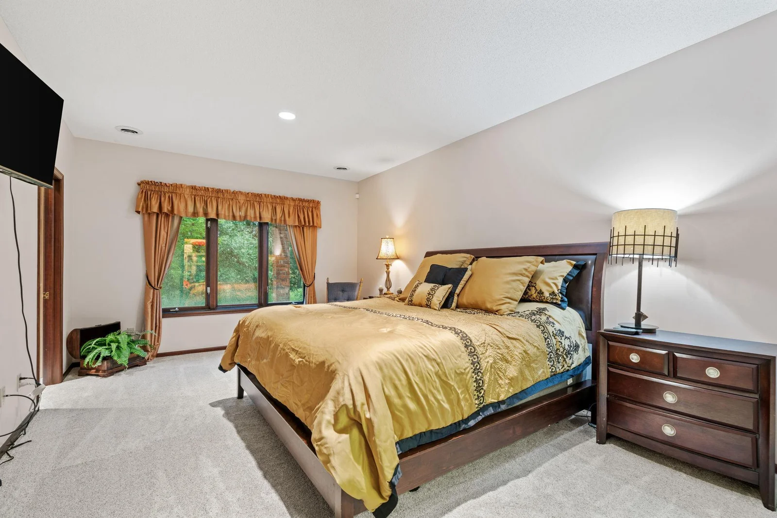 Lower Level Bedroom With Walk-In Closet