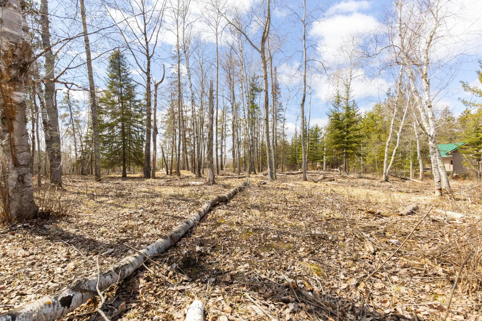 Photo 1 of County 37