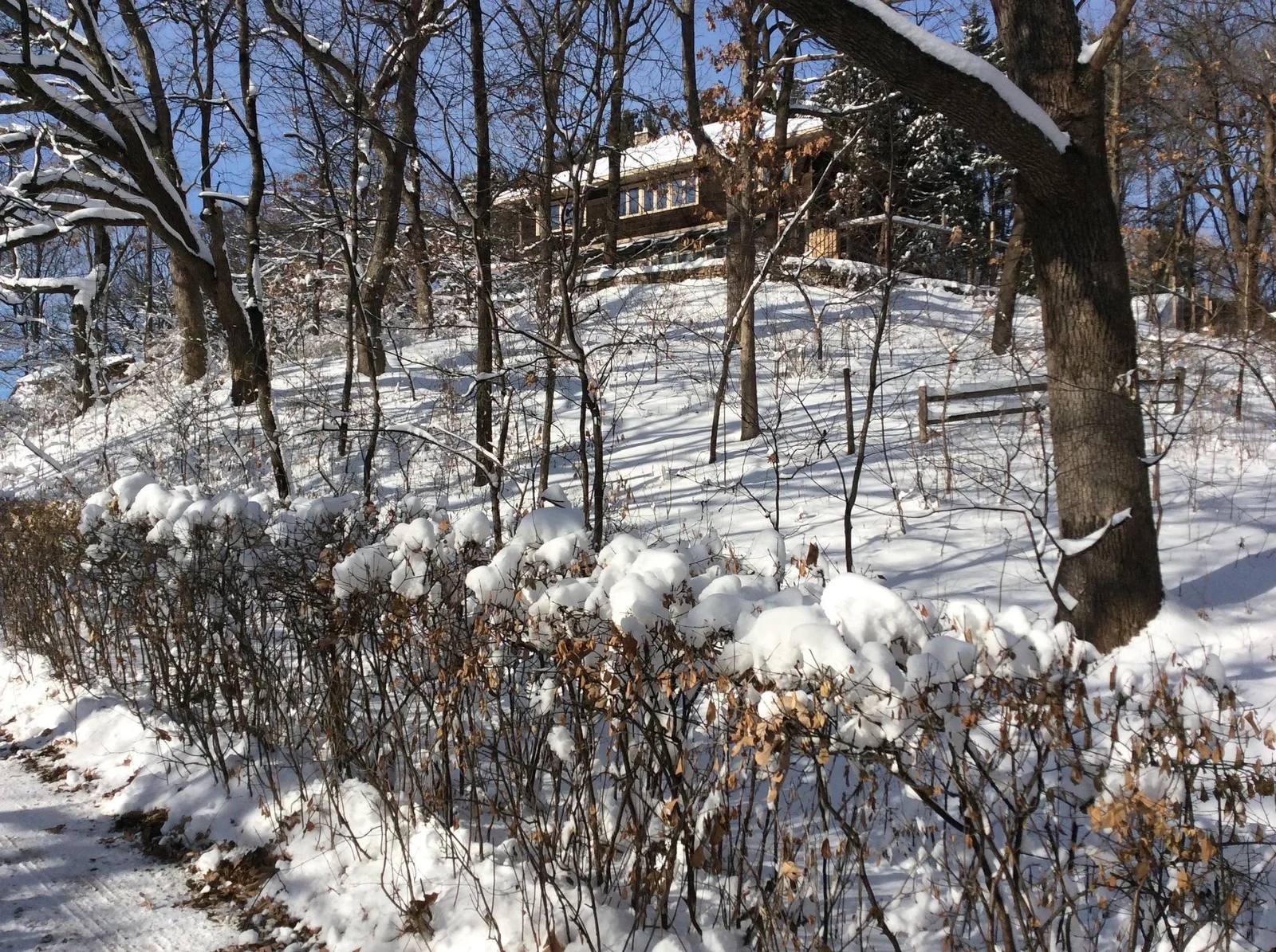 Thumbnail photo 37