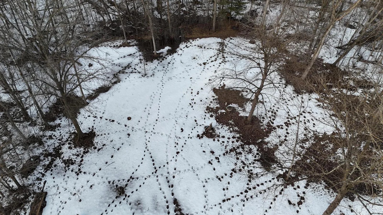 DJI_20250227155946_0003_D.JPG