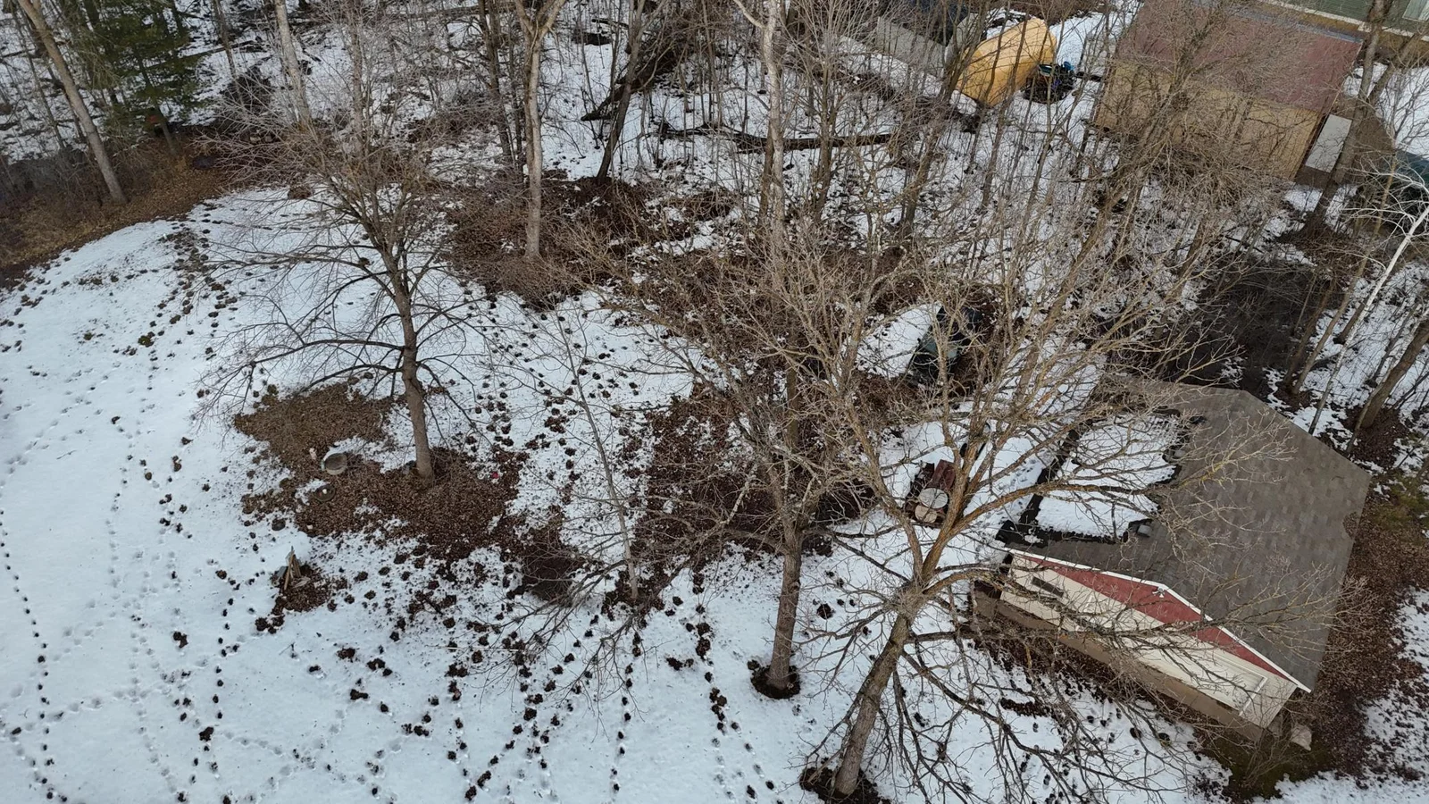 DJI_20250227155954_0004_D.JPG