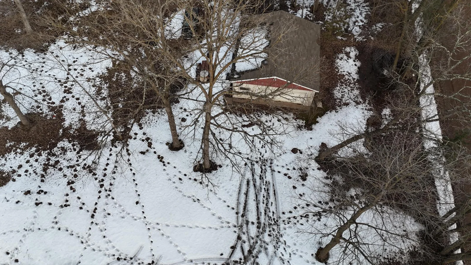 DJI_20250227155959_0005_D.JPG