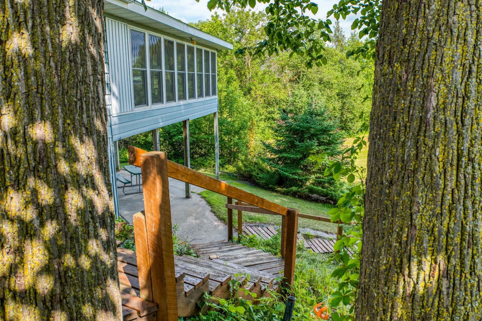 P1077156.jpg