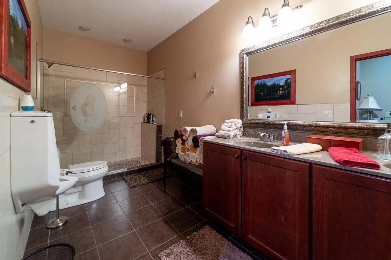 Lower level bathroom