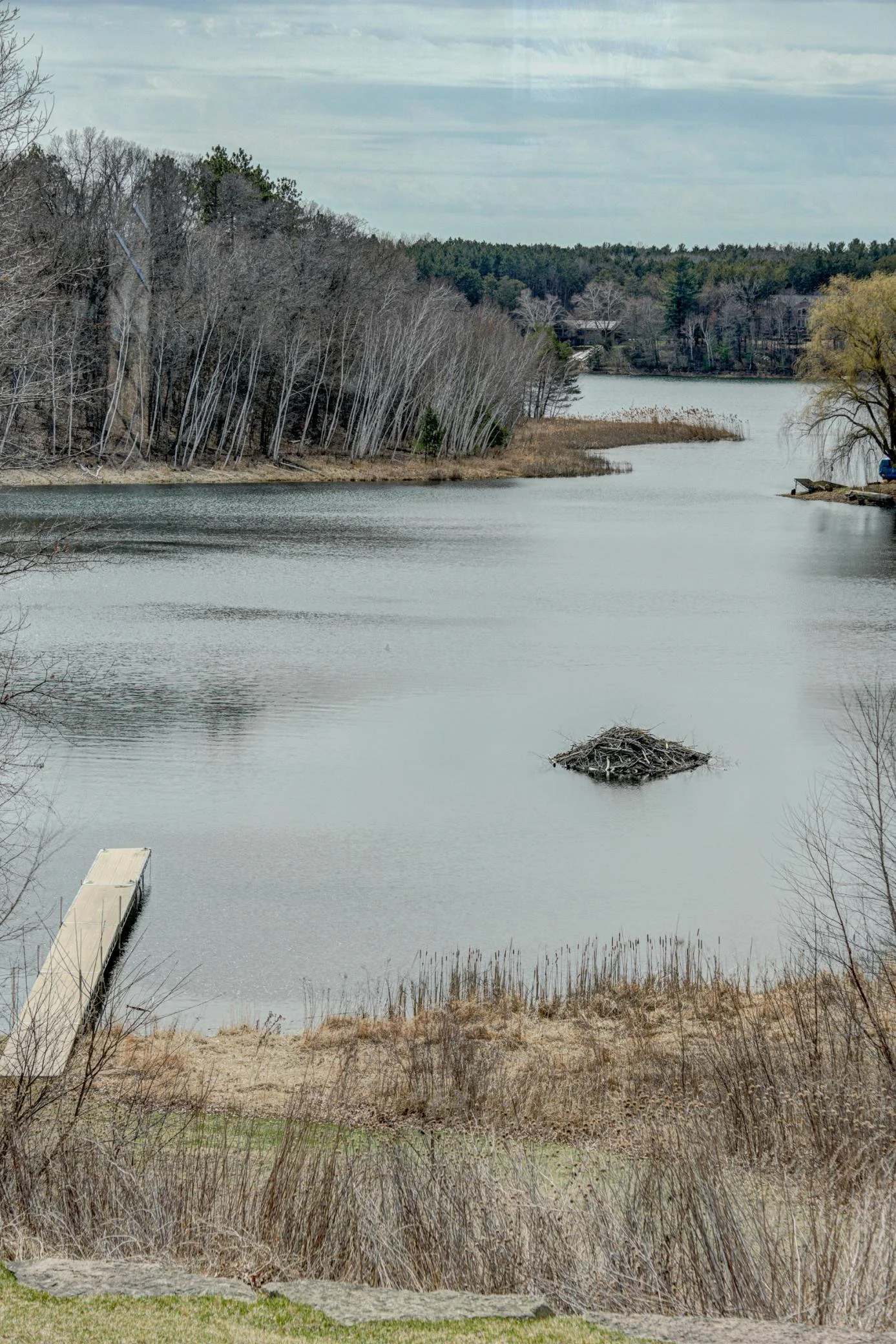Nature and wildlife surrounds you.