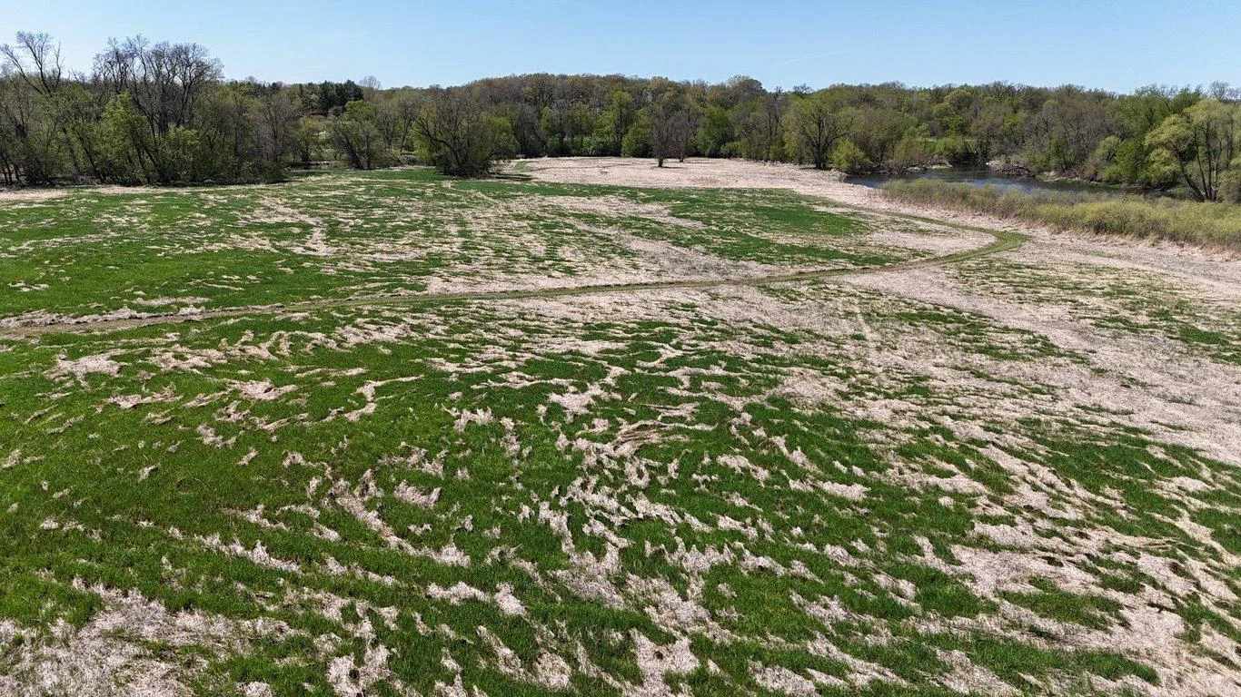 DJI_20250507131433_0131_D.JPG