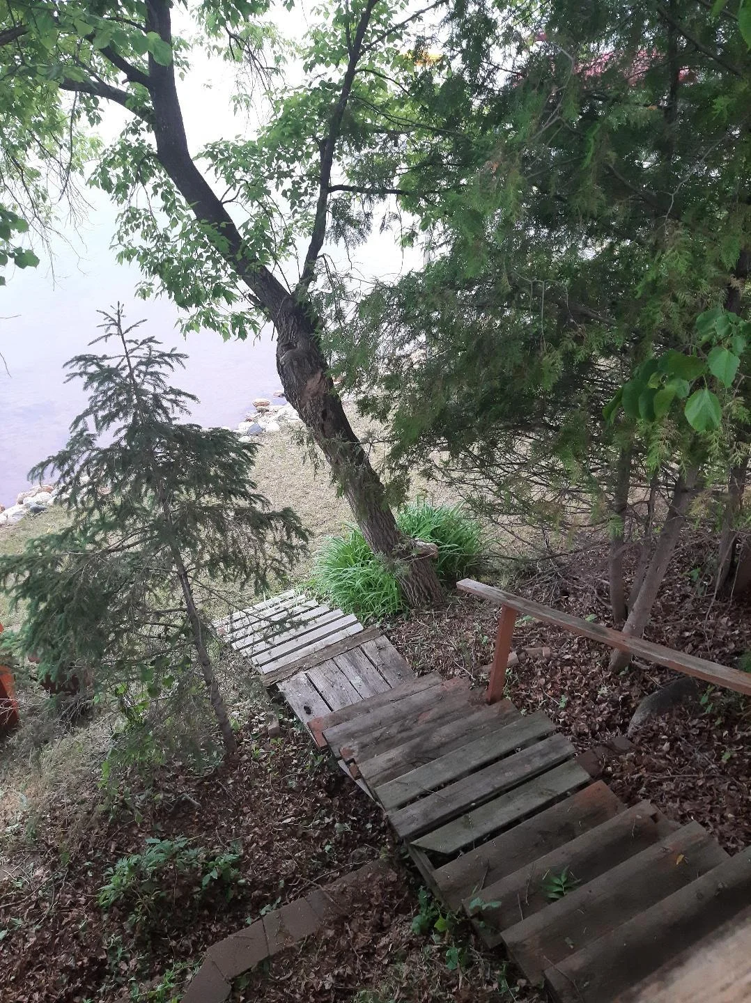 Resized_20240604_192144.jpeg