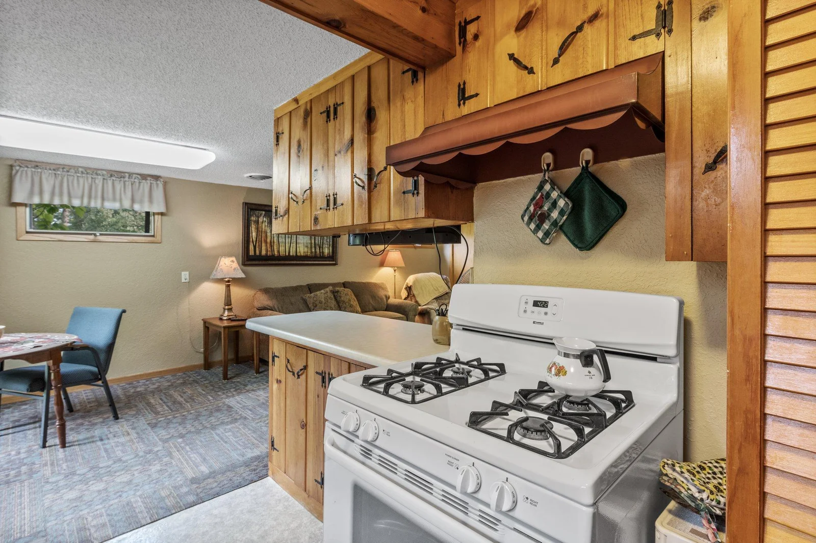 Lower level kitchen