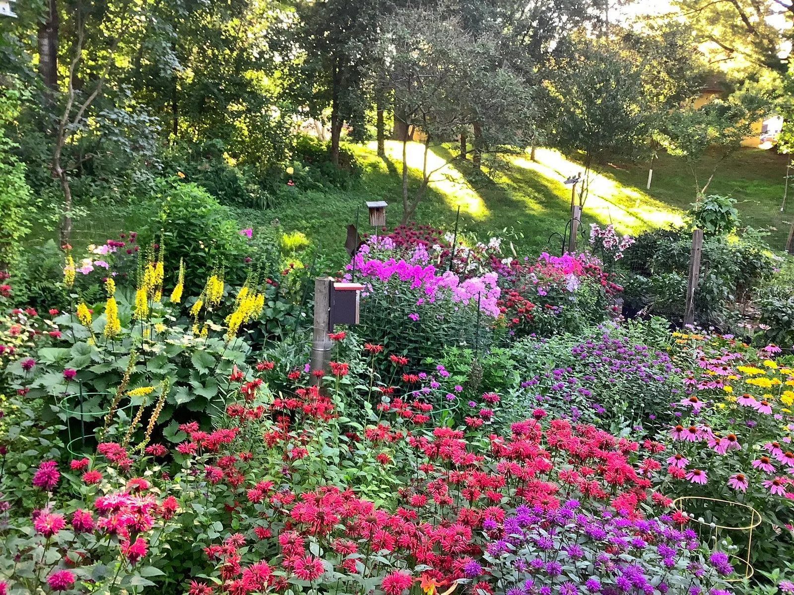 Perennial garden