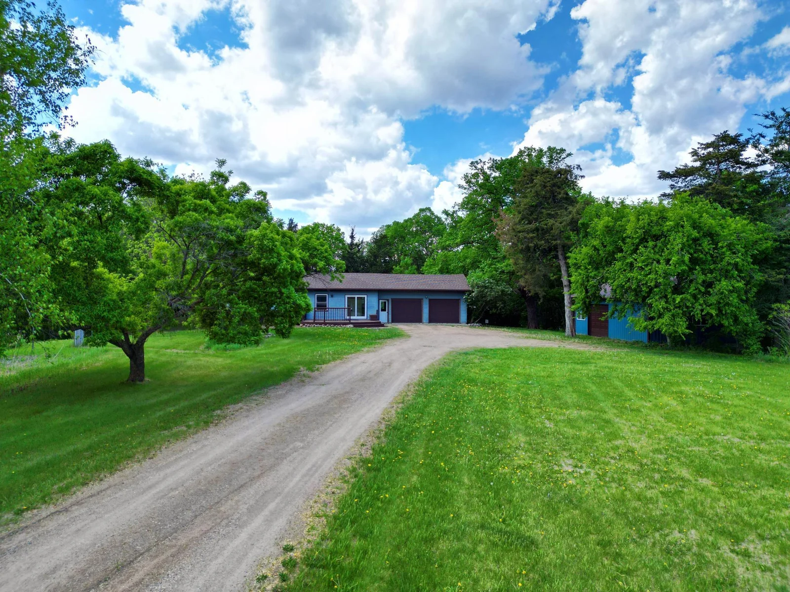Large Front Yard and Driveway.jpg