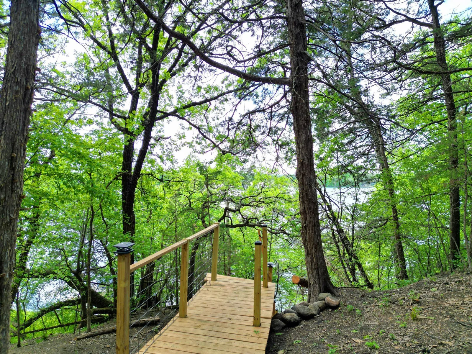 Green Trees With Plenty of Lake Access and Privacy.jpg