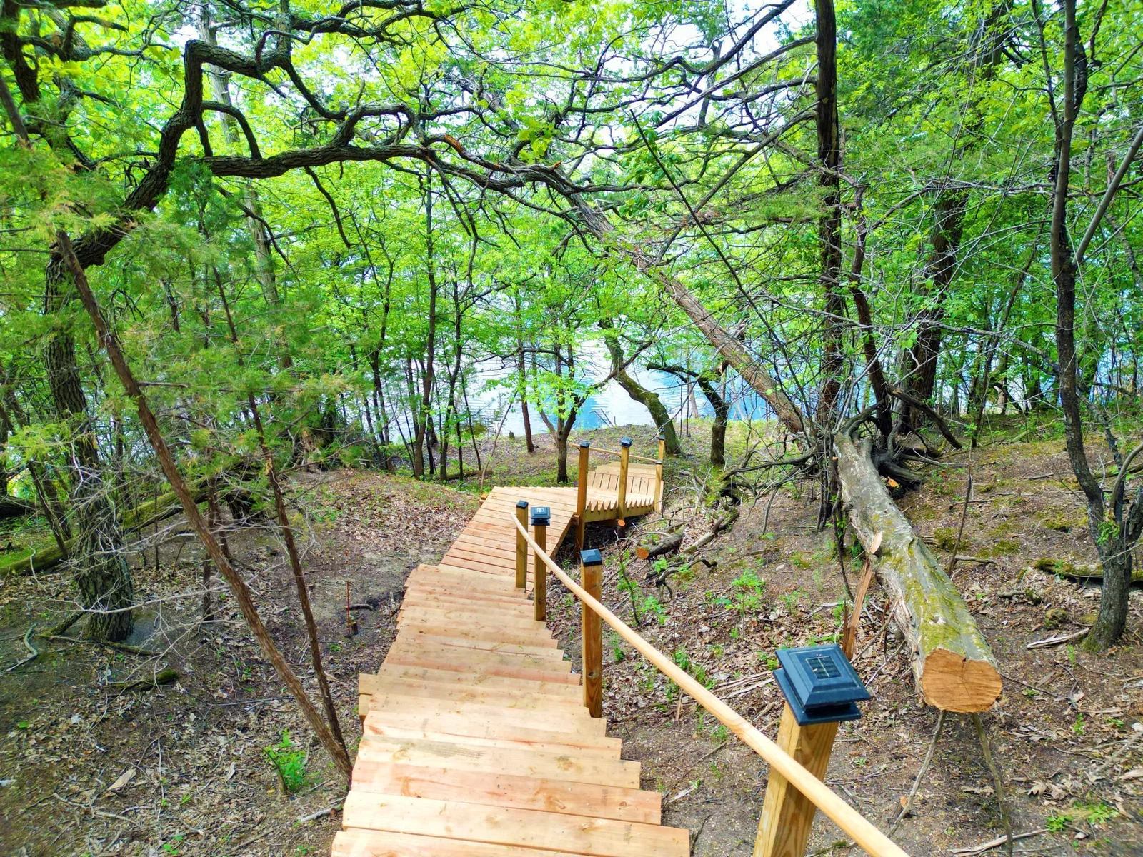 Newly Installed Staircase and Cleared Trees.jpg