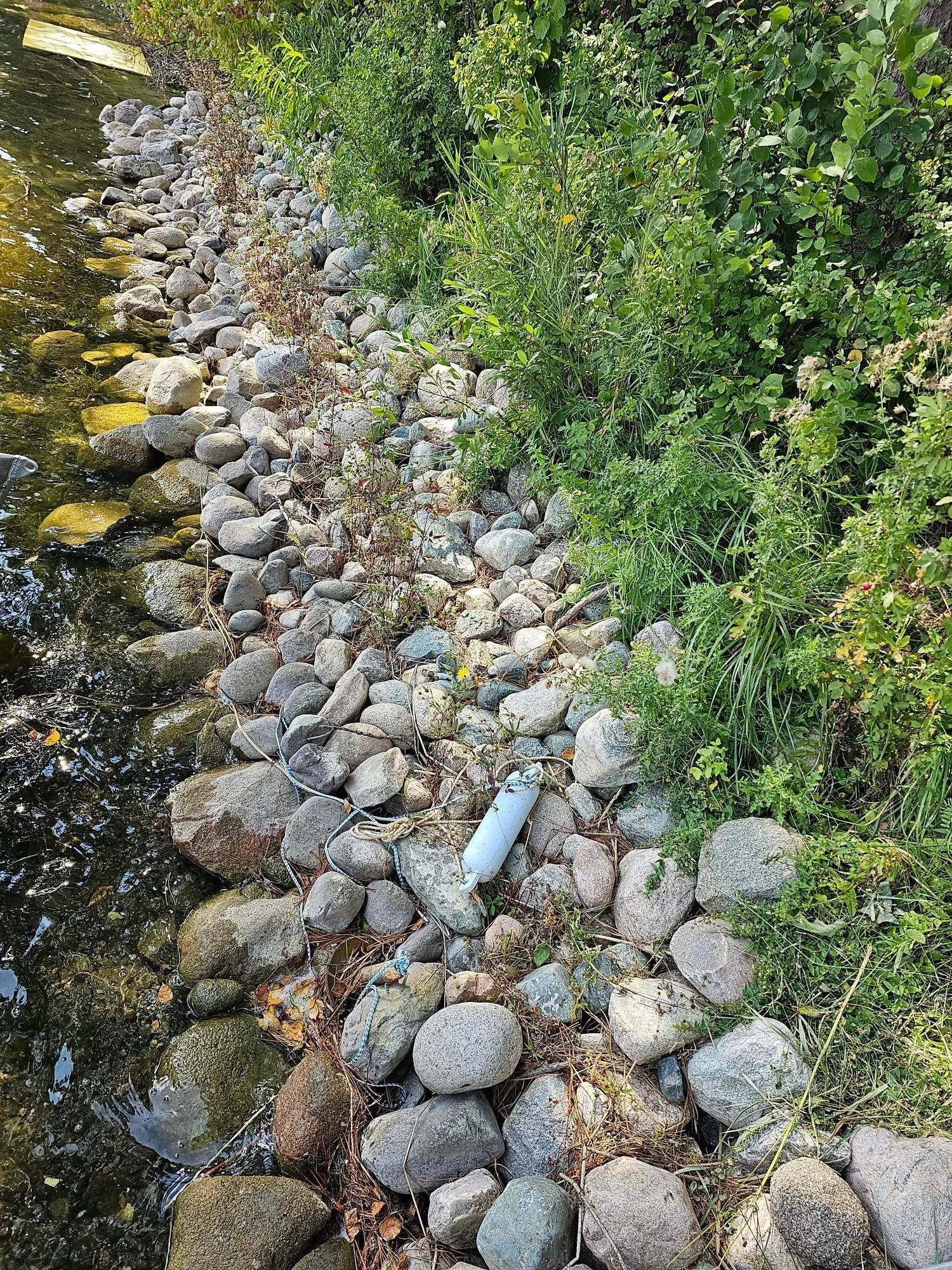20230910_131453.jpg