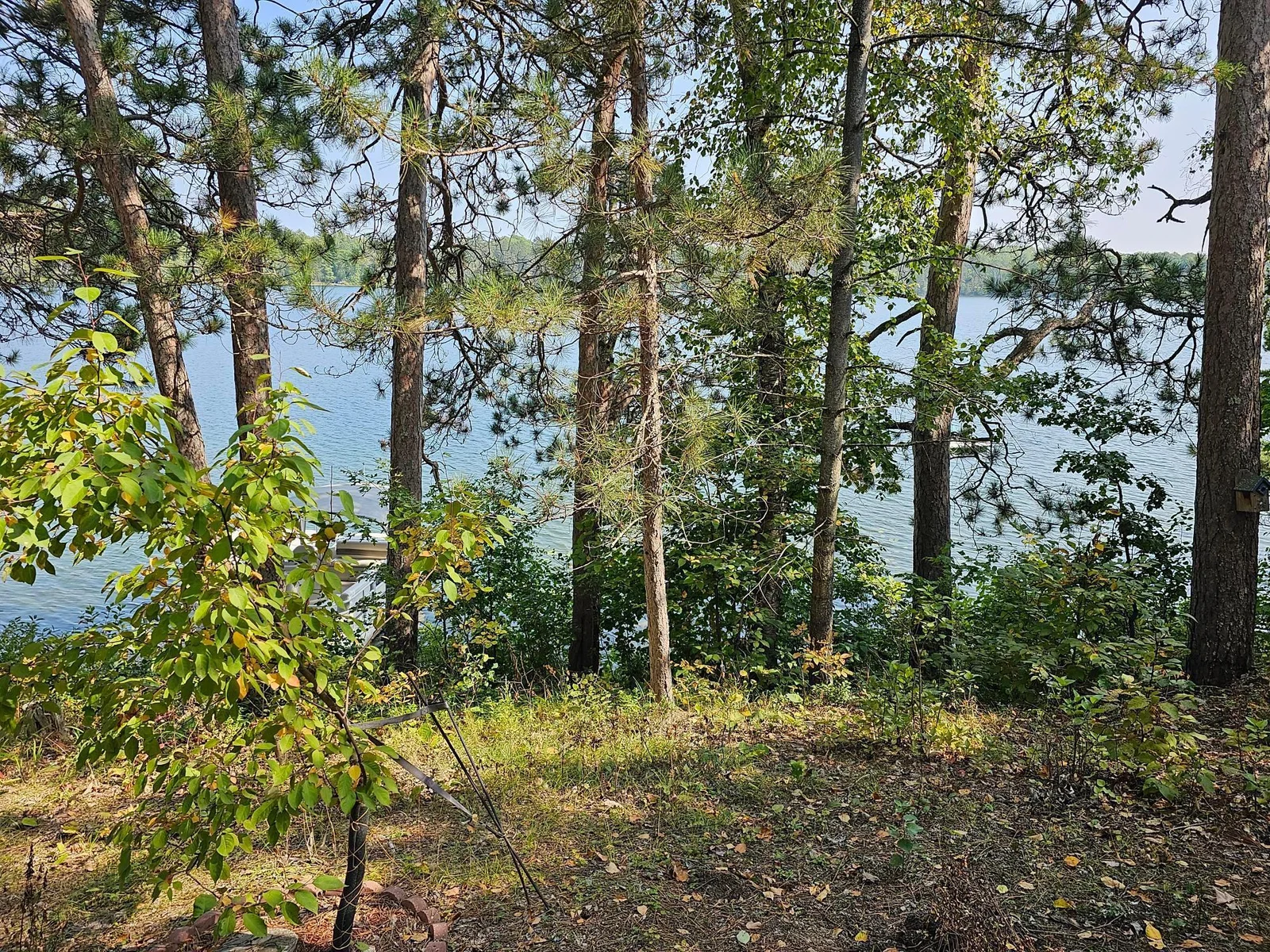 20230908_141001.jpg