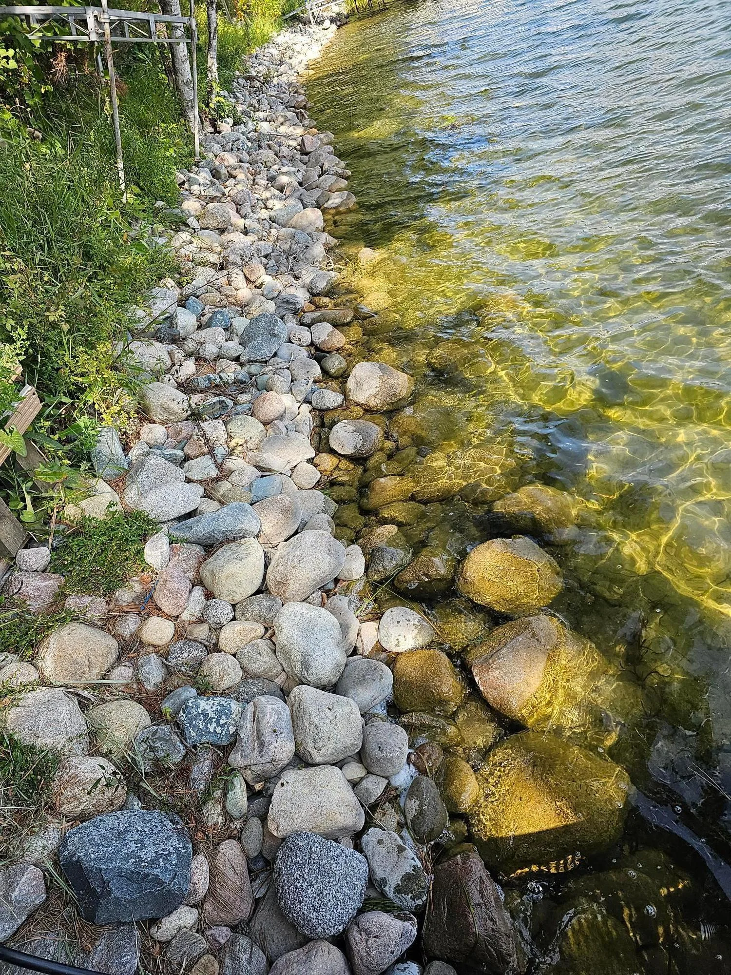 20230910_131458.jpg