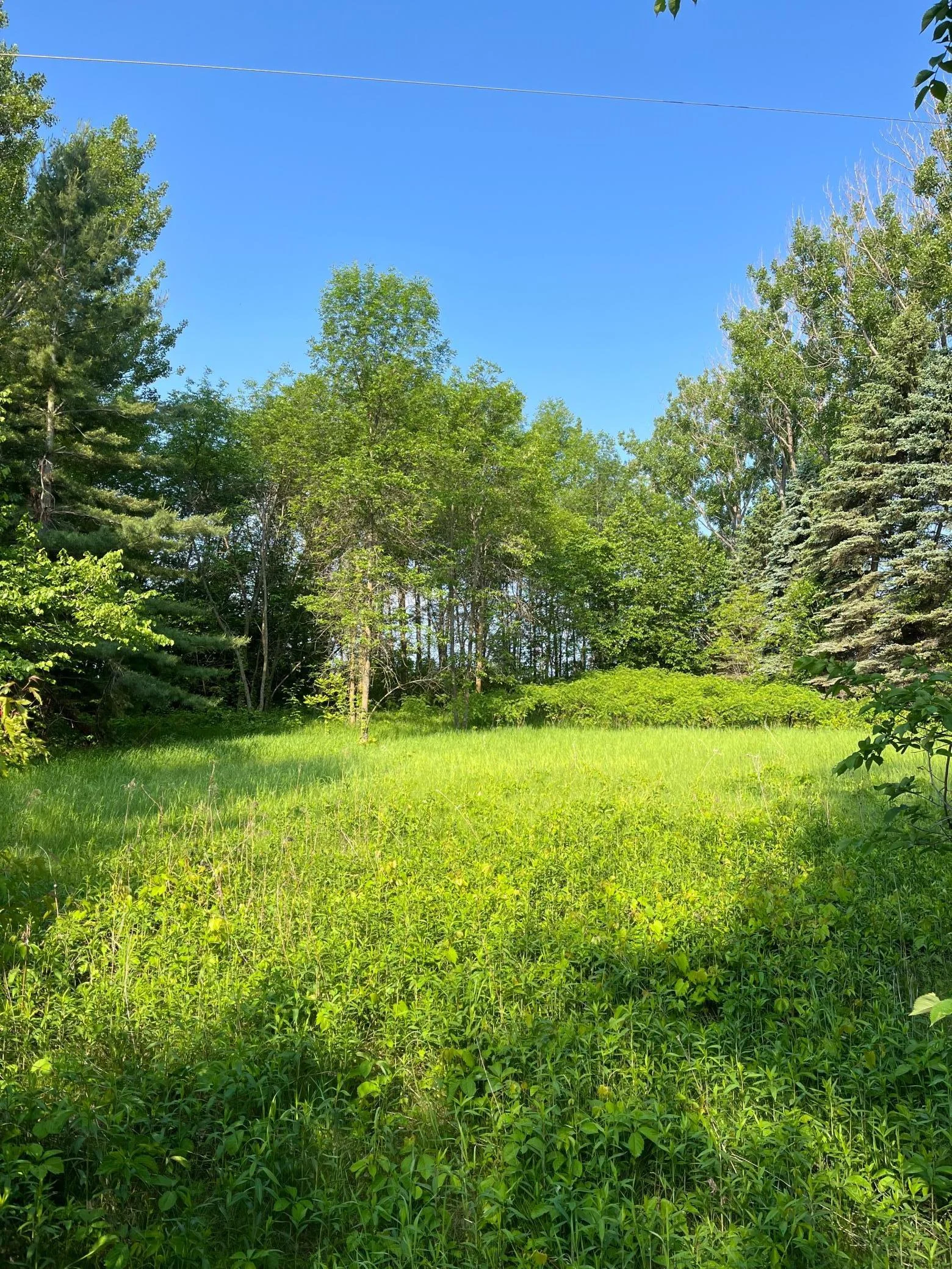 Photo 1 of Wild Rose Trail