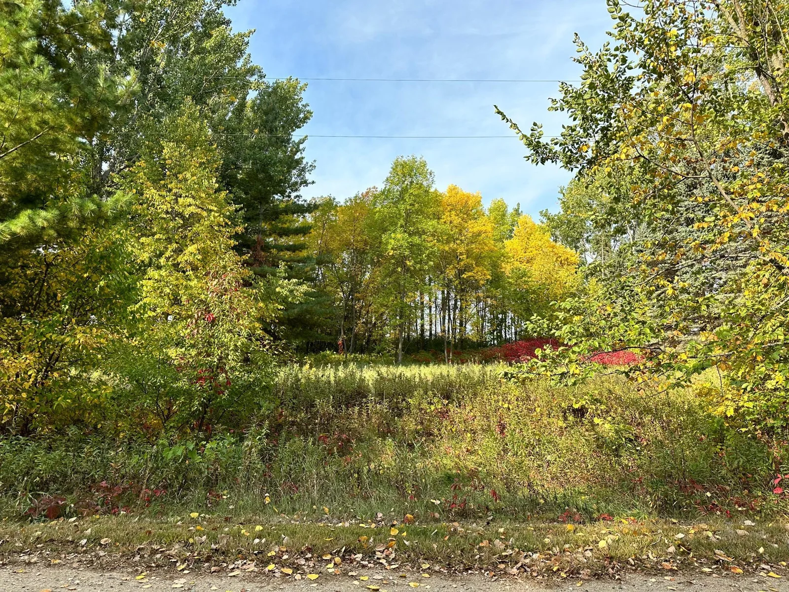 View from Road